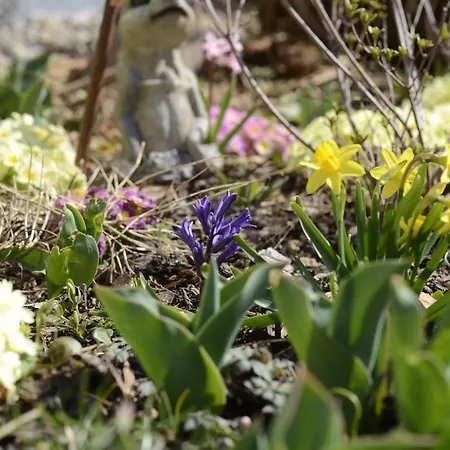 Oda ve Kahvaltı Gaestehaus Christa **** 3*