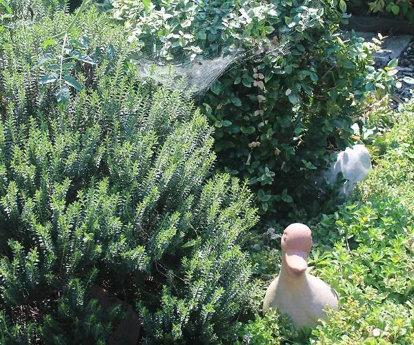 فندق مبيت وإفطار Gaestehaus Christa **** 3*